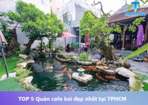 quan-cafe-koi-dep-nhat-tai-tphcm (1)