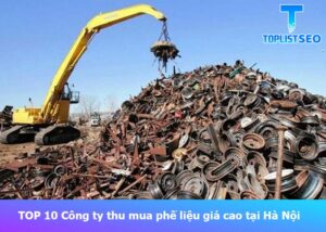 th-mua-phe-lieu-gia-cao-tai-ha-noi (1)