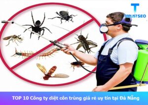 cong-ty-diet-con-trung-uy-tin-tai-da-nang (1)