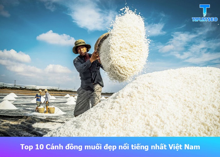 canh-dong-muoi-dep-nhat-viet-nam (1)
