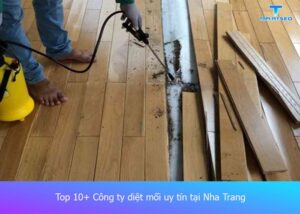 cong-ty-diet-moi-uy-tin-tai-nha-trang (1)