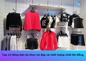 ban-ao-thun-nu-dep-chat-luong-tai-da-nang (1)