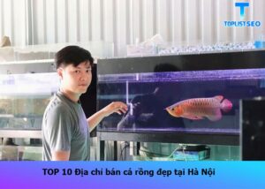 ban-ca-rong-dep-tai-ha-noi (1)